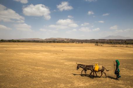 Harko, 12, walks across the land with her younger brother in search of water during a drought in Ethiopia, 2016. 
