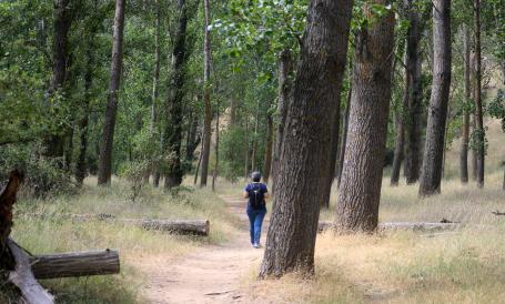 A person walking through nature reserve in Spain.
