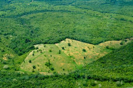A patch of cleared land in the middle of the Amazon Rainforest