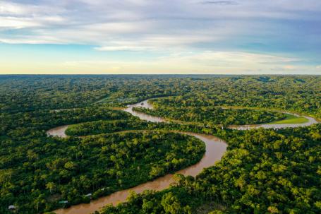 Aerial view of the Amazon rainforest