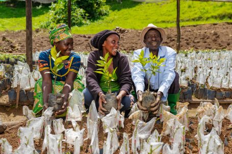 Three people in a tree nursery holding bagged saplings and smiling.