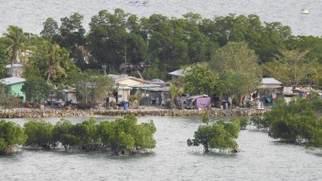 Mangroves protect communities in Fiji from strong waves and winds. Photo by Namrata Chand.
