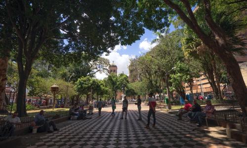 People cool off under shade trees in the tiled plaza of a city park. 