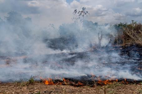 A fire burning in the Amazon Rainforest.