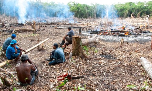 Clearing rainforest by burning to make way for an agricultural plantation