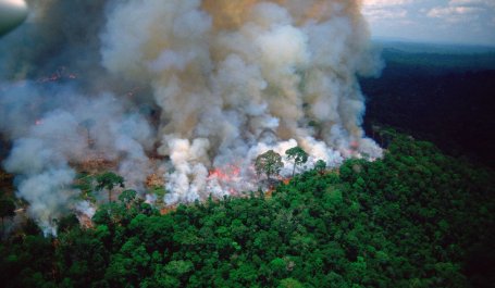 A fire burns in the Amazon rainforest
