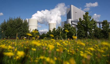 Smoke billows from a coal power plant that uses carbon capture technology. Yellow flowers and trees surround the front of the factory. 