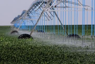 Crop irrigation in an agricultural field