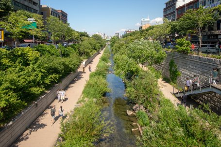 People walk along a stream in a city with trees lining its banks.