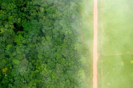 A bird's eye view of the stark contrast between the forest and agricultural landscapes near Rio Branco, Acre, Brazil. Photo by Kate Evans/CIFOR&nbsp;