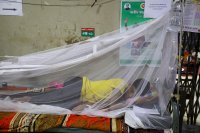 Man sleeping under mosquito net.