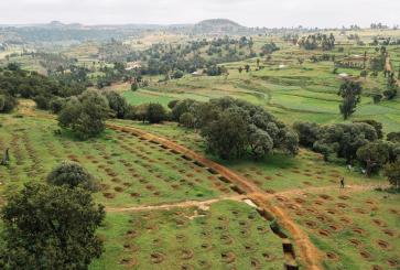 Hhere farms and forests exist side-by-side in Tigray, Ethiopia.