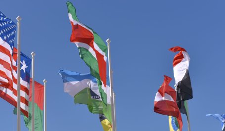 A collection of national flags flying side-by-side.