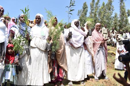 Local women in Dire Dawa’s Harla Kebele plant indigenous trees.