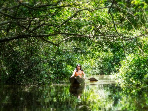 Man in a canoe in Ecuador's Amazon forest