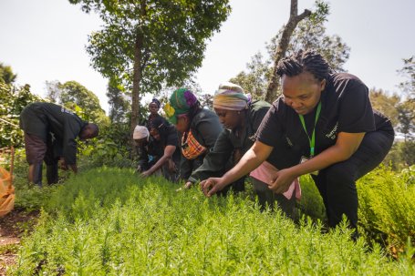 Farmers at tree nursery.