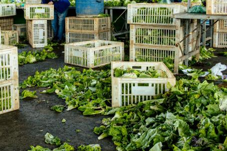 Foor waste litters the ground after a farmers market.