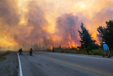 Forest fire fighters battling a blaze near a road.