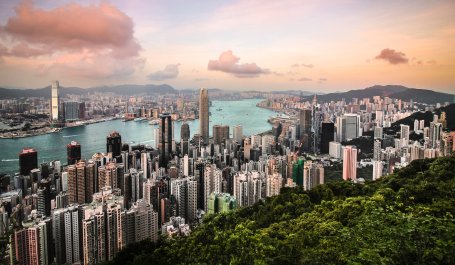 A view of Hong Kong from the edge of a forest. 