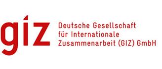 GIZ logo