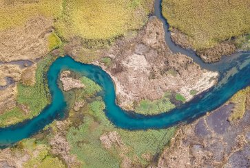 Aerial view of winding river.