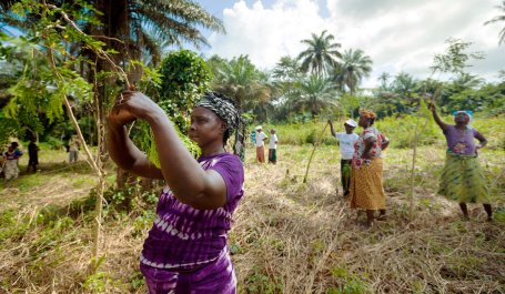 A woman reaches up to tend to a tree she's planted. 