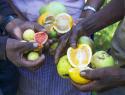 Hands holding various fruits.