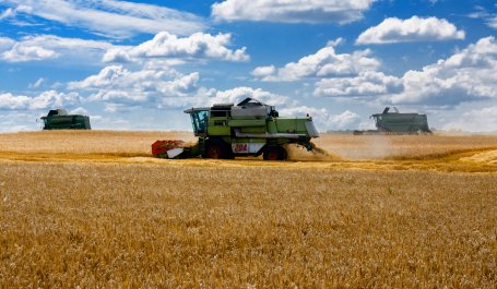 Harvesting wheat in Ukraine