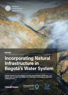 Cover image.