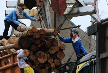 Workers unload timber from a ship in Indonesia.