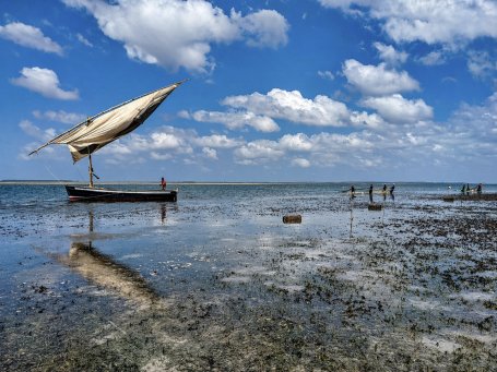 Fishermen in the seagrass meadows of Inhambane Bay.