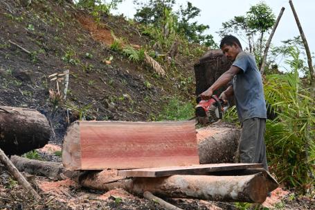 Man splitting wood