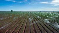 Crops Being Watered in South Eastern California During Drought Conditions 