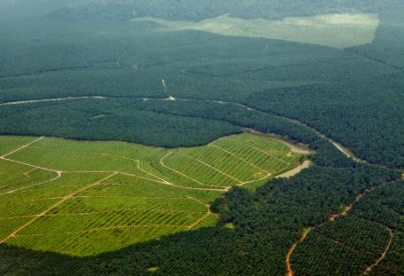 Aerial photo highlighting deforestation in tropical rainforest