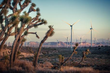 Joshua trees and wind turbines in the Mojave Desert in Kern County, California 
