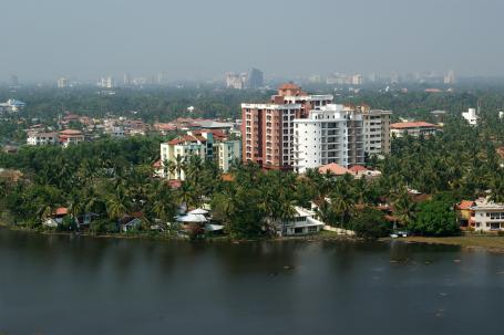 Trees lining the coast with a city in the background.