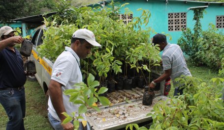People working on land restoration.