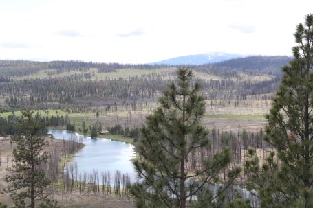 Spring Creek feeds into the Williamson River, winding through fire-scarred trees near Chiloquin, Oregon—the lasting aftermath of the 2020 Two Four Two Fire
