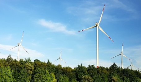 Windmills running in the background of a dense forest.