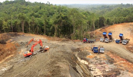 Bulldozers clear Malaysian rainforest to make way for agriculture. 
