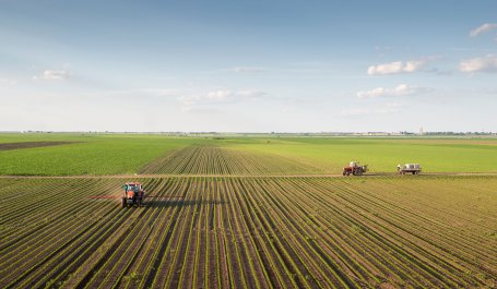 A tractor and trucks drive through soy bean fields.