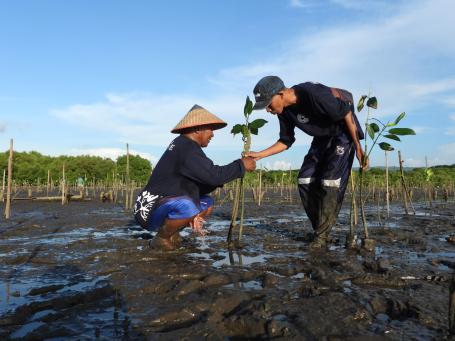 Two farmers check on a newly planted mangrove sapling on the beach in Indonesia.