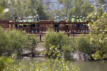 Workers on a bridge over a river whose banks are lined with mangroves.