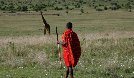 A man in red tribal dress looking at a giraffe. 