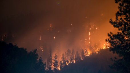 An extreme wildfire in a forest, often caused by extreme weather and uncontrolled land clearing, causing widespread forest loss.