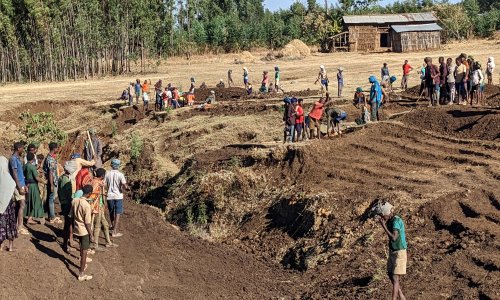 A group of people working the land.