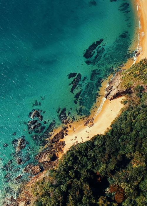 Aerial view of blue body of water and green trees on shore.