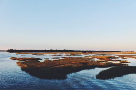 Restoring coastal blue carbon ecosystems, including salt marshes such as this one, can help store carbon in addition to other restoration benefits. Photo by Bre Smith/Unsplash