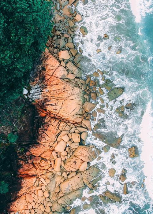 Ocean and rocky, forested shore of island.