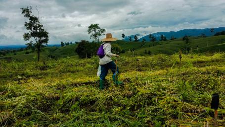 Planting trees in Lampang, Thailand